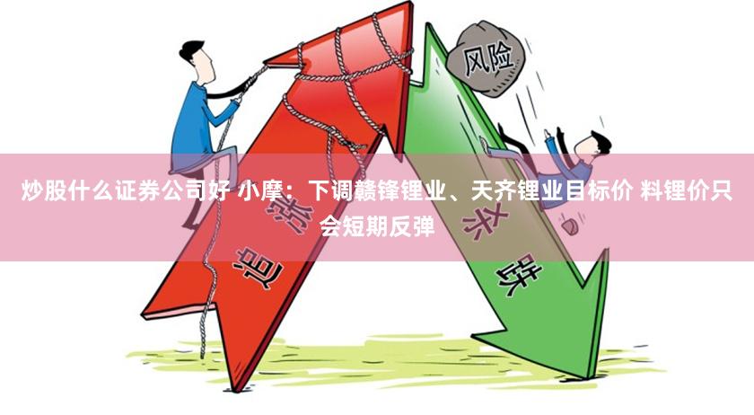 炒股什么证券公司好 小摩：下调赣锋锂业、天齐锂业目标价 料锂价只会短期反弹